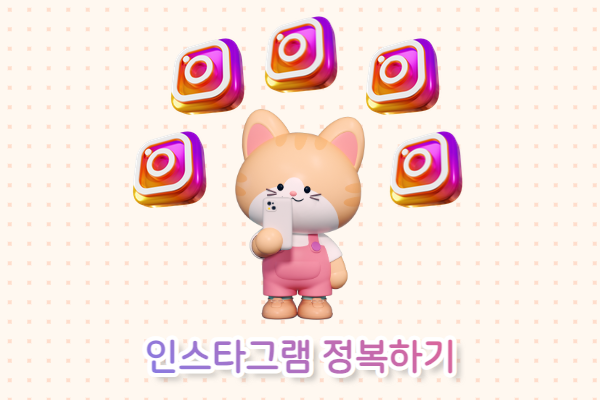 인스타그램 정복하기 